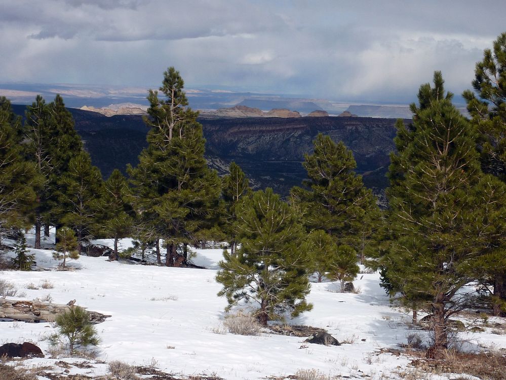 Grand Staircase - Escalante (68).JPG